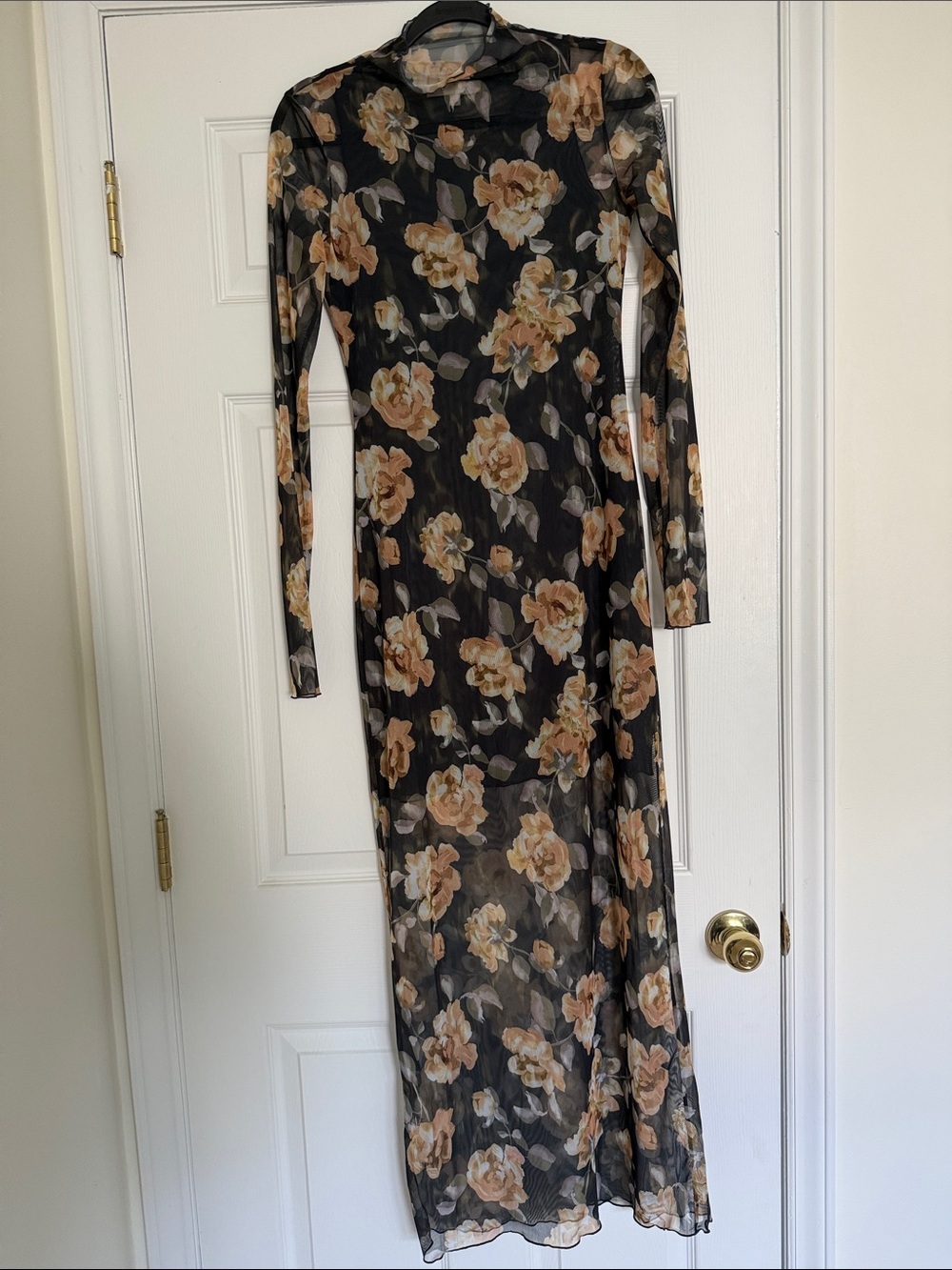 Favorite Daughter Sheer Fantasy Dress in “golden flowerbed”